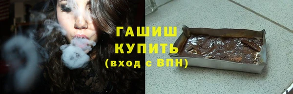 индика Абаза