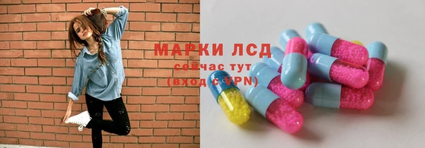 индика Абаза