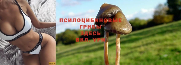 каннабис Абинск