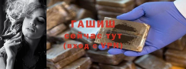 индика Абаза