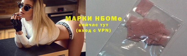 индика Абаза