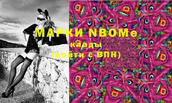 индика Абаза