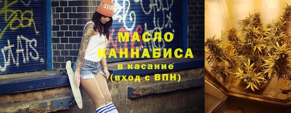 индика Абаза