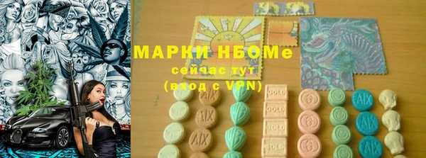 индика Абаза