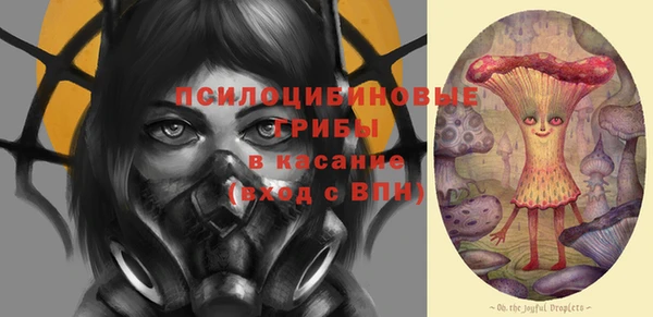 индика Абаза